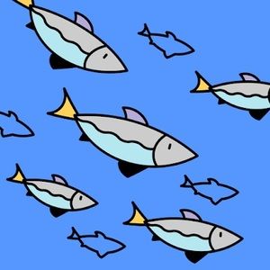 Meet your Posher, Bennett